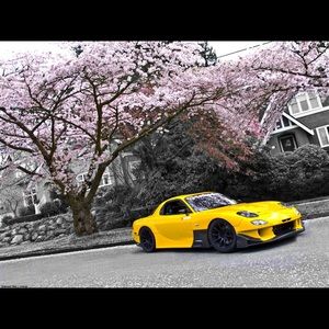 Meet your Posher, Homar